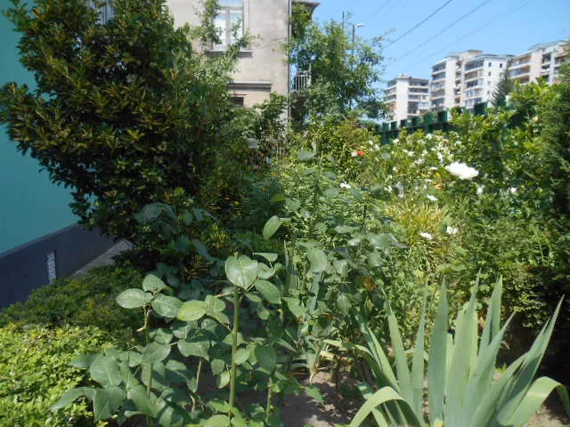 Guesthouse Lilu — Photo 35