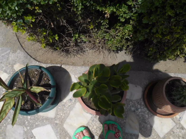 Guesthouse Lilu — Photo 36