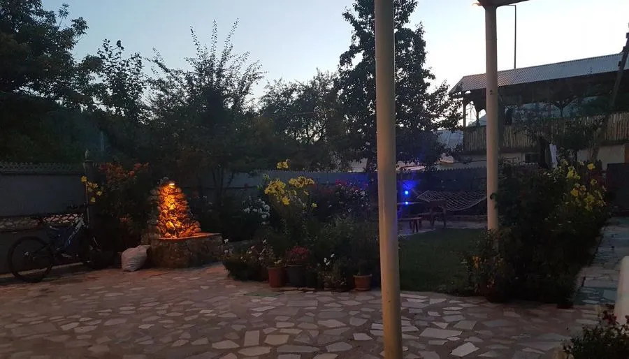 Zoia — Photo 14