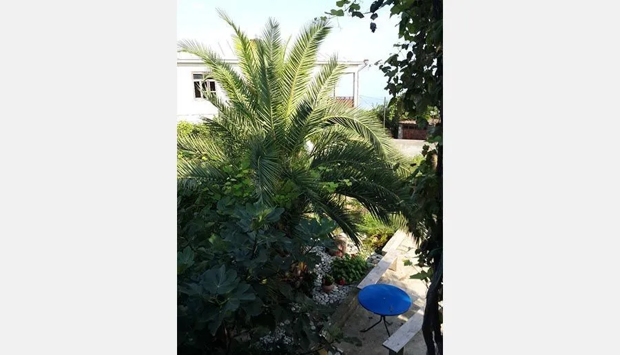 BIS-A Guesthouse — Photo 5