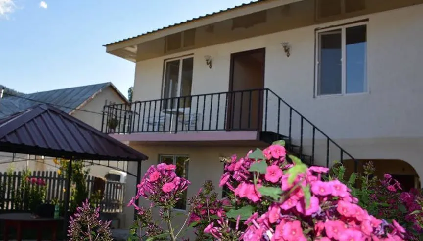 House in Mestia — Photo 25