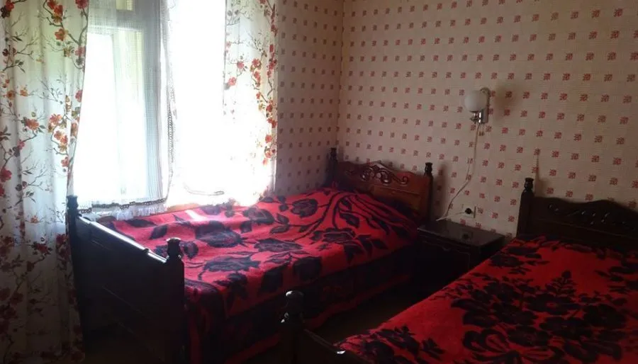 Shatili Vazha Chincharauli Guesthouse — Photo 22