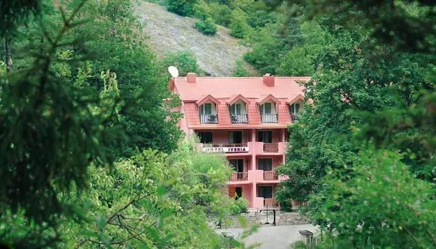 Hotel Iveria — Photo 32