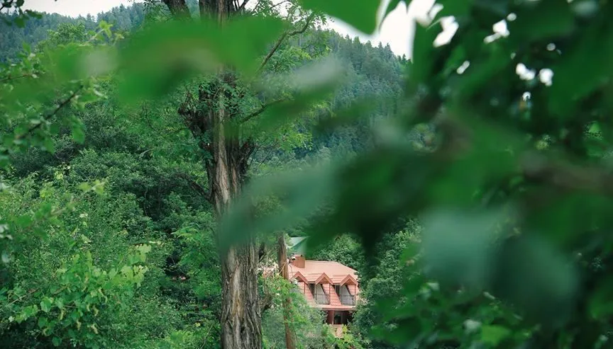 Hotel Iveria — Photo 19