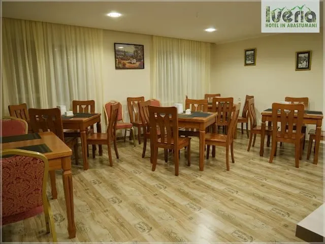 Hotel Iveria — Photo 7