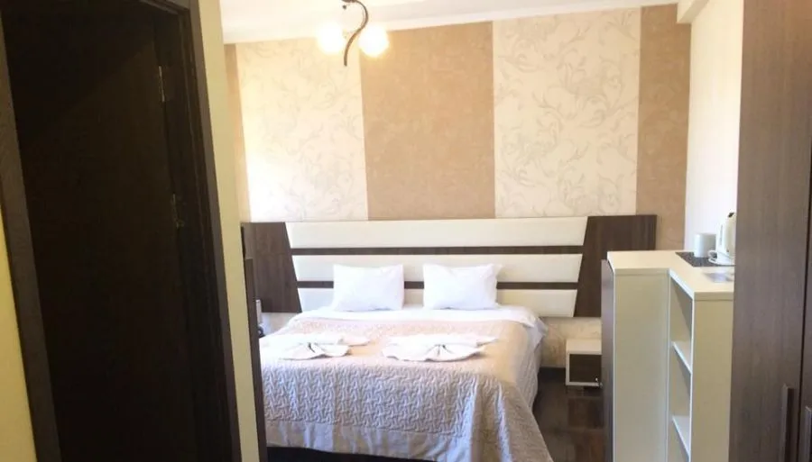Travel Inn Bakuriani — Photo 47