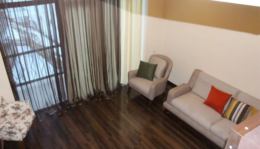 Travel Inn Bakuriani — Photo 60