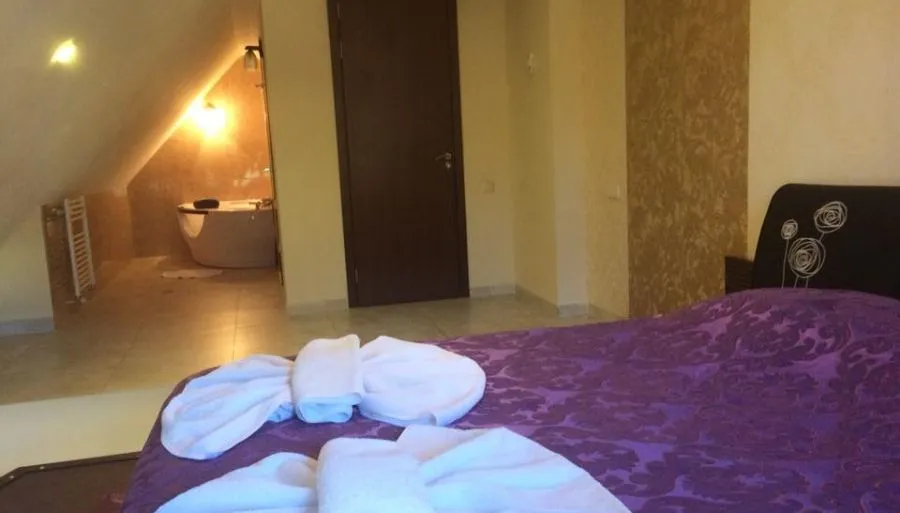 Travel Inn Bakuriani — Photo 56