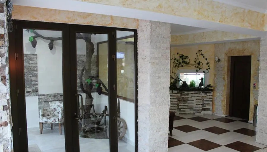 Travel Inn Bakuriani — Photo 41