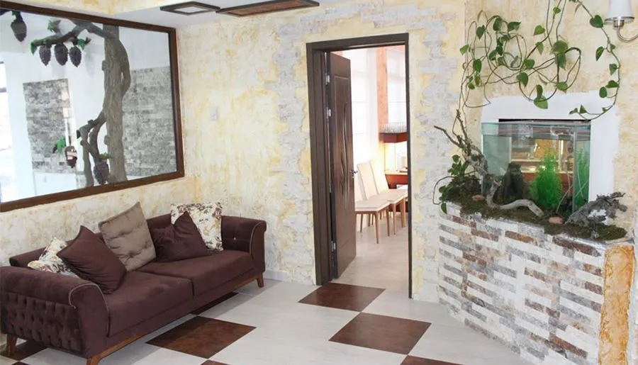 Travel Inn Bakuriani — Photo 22