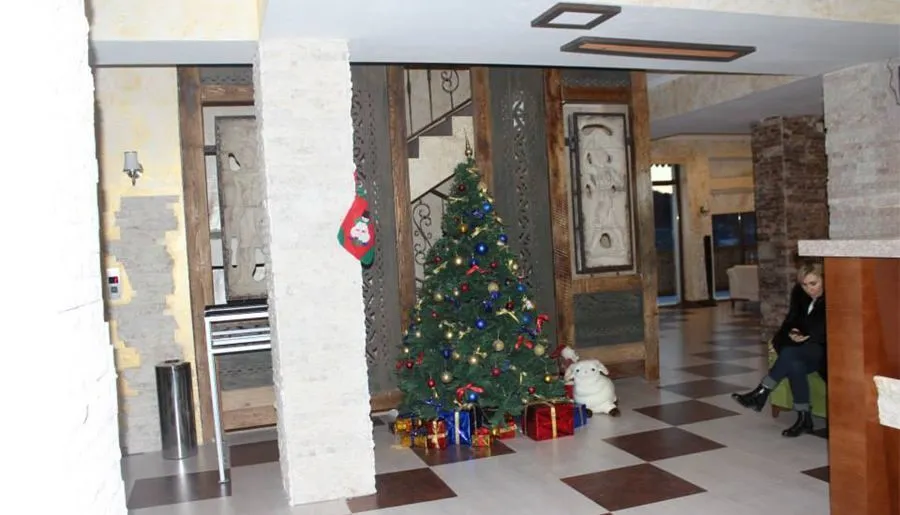 Travel Inn Bakuriani — Photo 43