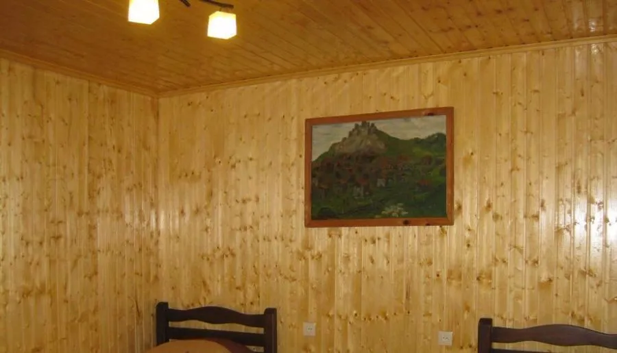 Shatili Guesthouse-Mziani — Photo 16