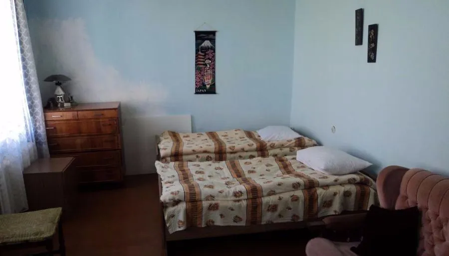 Cico — Photo 15