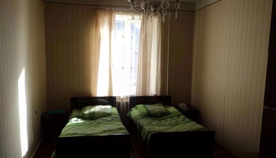 Cico — Photo 16