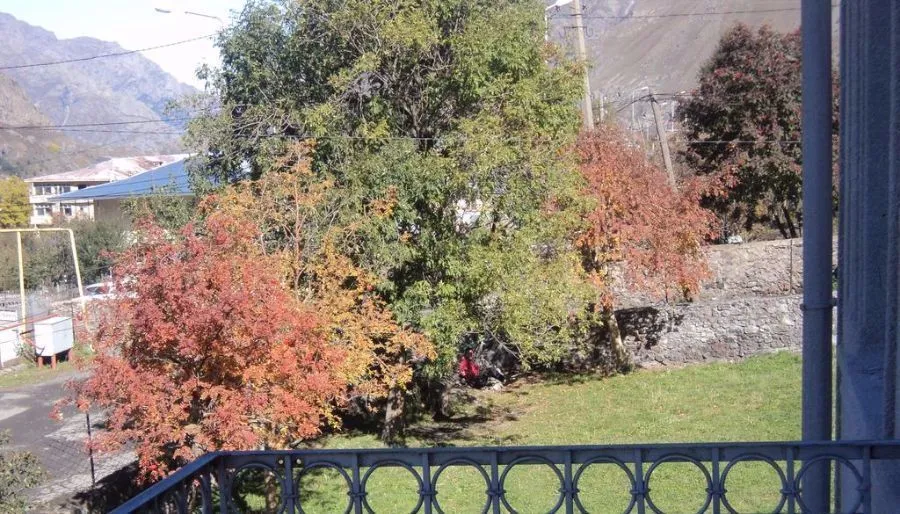 Cico — Photo 8