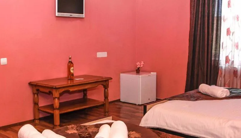 Bakuriani House — Photo 41