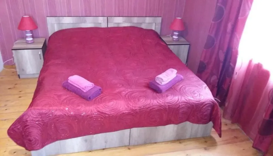 Guesthouse Gareji — Photo 28