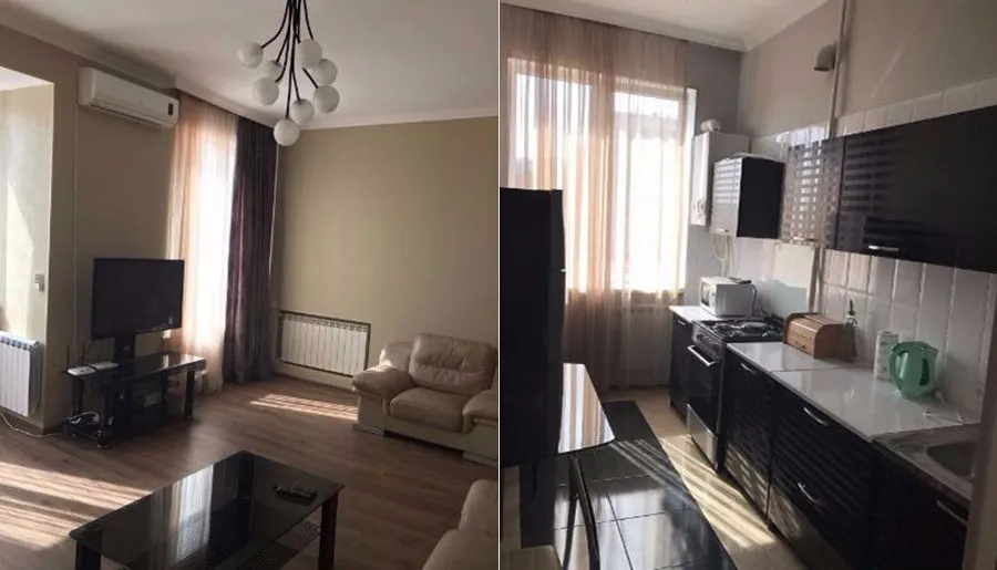 Apartment on Rustaveli ave — Photo 5