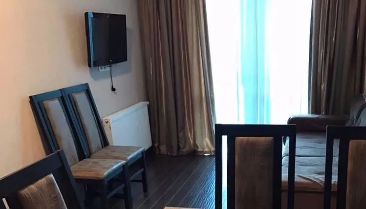 Bakuriani Residence Apt 25 — Photo 8