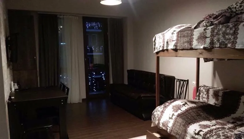 Bakuriani Residence Apt 122 — Photo 3
