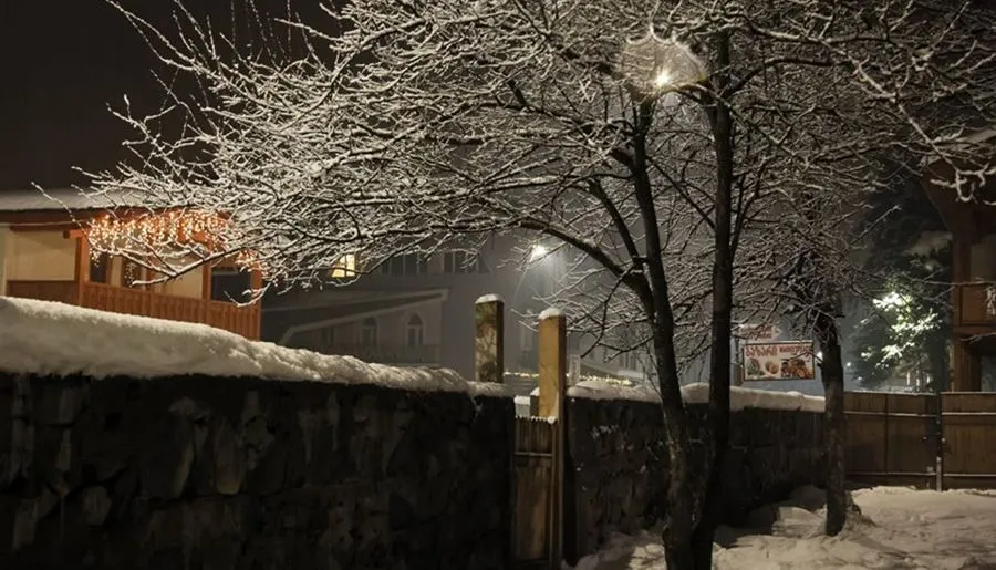 Guesthouse Edelweiss — Photo 21