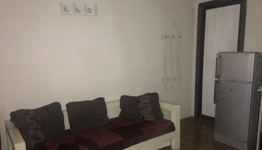 Mgzavrebi apt 110 — Photo 6