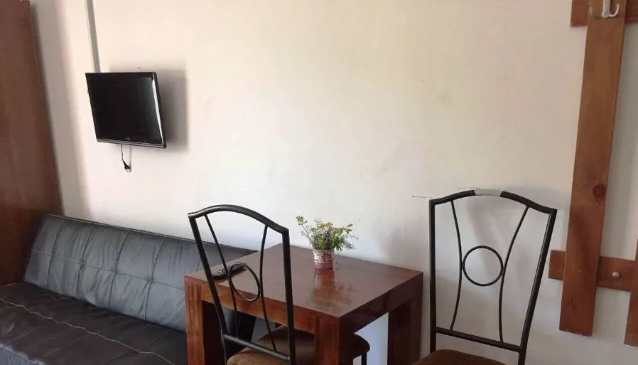 Mgzavrebi Apt 209 — Photo 15