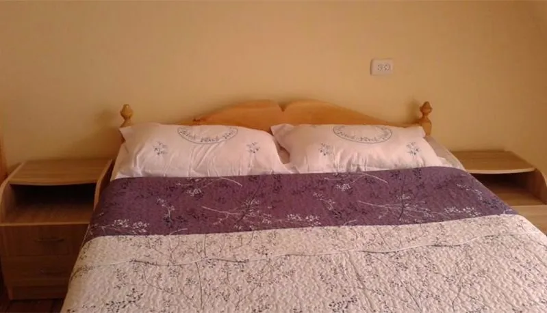 Mestiatour Guest House — Photo 14