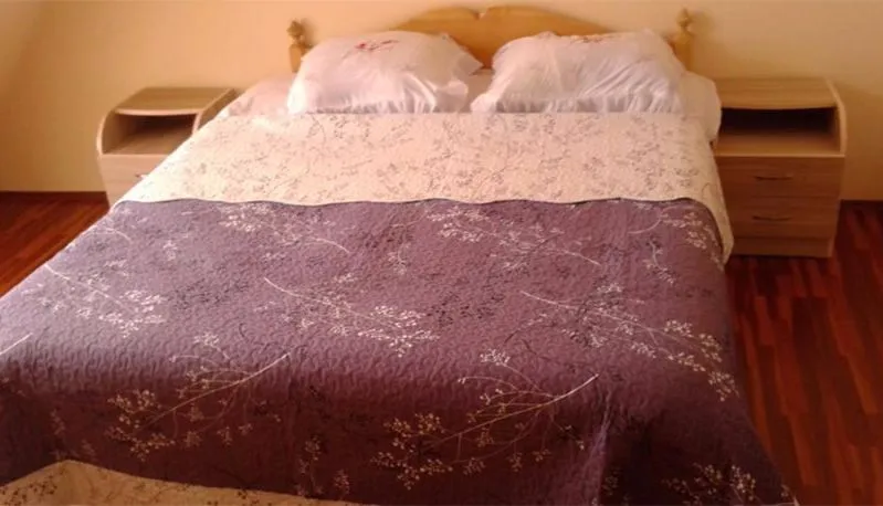 Mestiatour Guest House — Photo 13