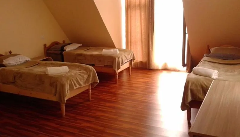 Mestiatour Guest House — Photo 20
