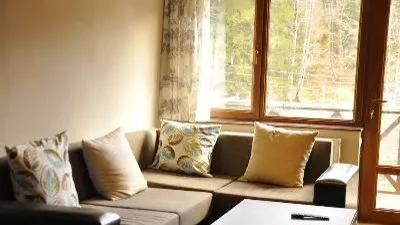 Comfortable Stay in Bakuriani