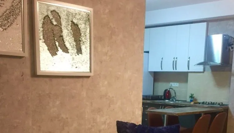 Bakuriani Residence Apt 87 — Photo 18