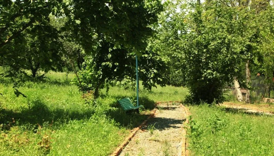 Marosheni — Photo 1