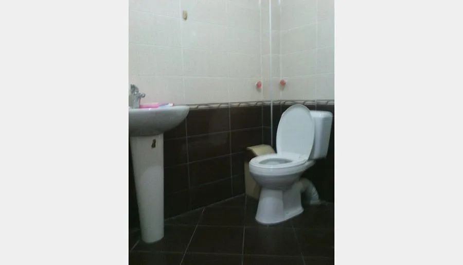 Guesthouse Manglisi — Photo 10