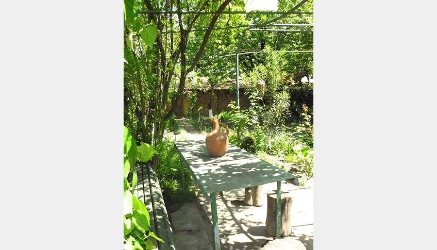 Guest House Gurjaani — Photo 13