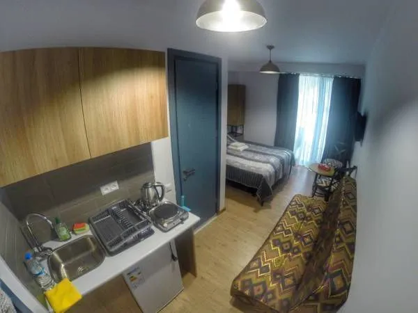 Bakuriani Mgzavrebi Apt 220 — Photo 8