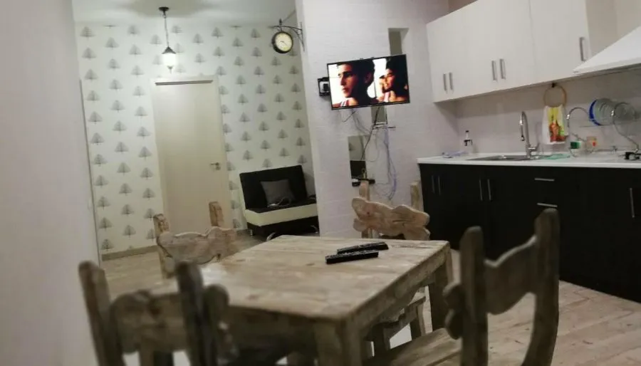 Apartment on Aleksidze — Photo 8