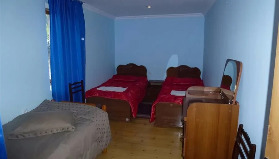 Mestia Panorama Guesthouse — Photo 14