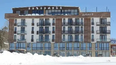 Mgzavrebi Bakuriani Apartment 319