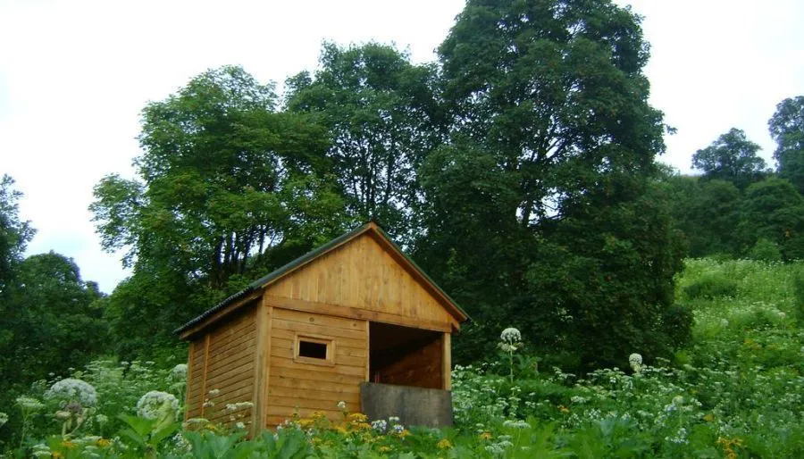 Ludwig Guesthouse Lagodekhi — Photo 26