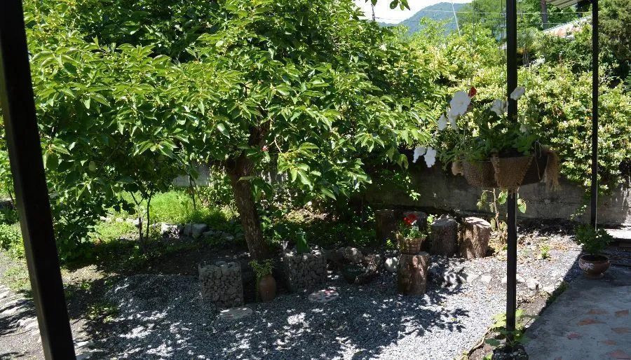 Ludwig Guesthouse Lagodekhi — Photo 21