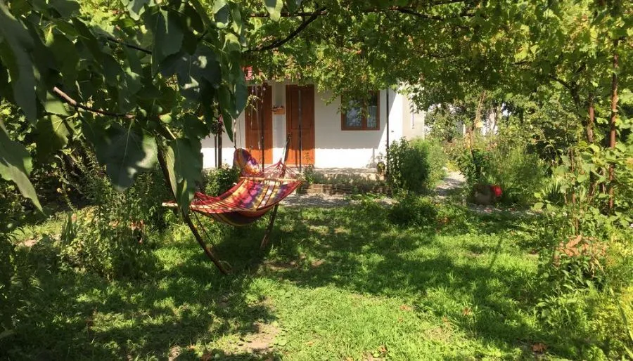 Ludwig Guesthouse Lagodekhi — Photo 23