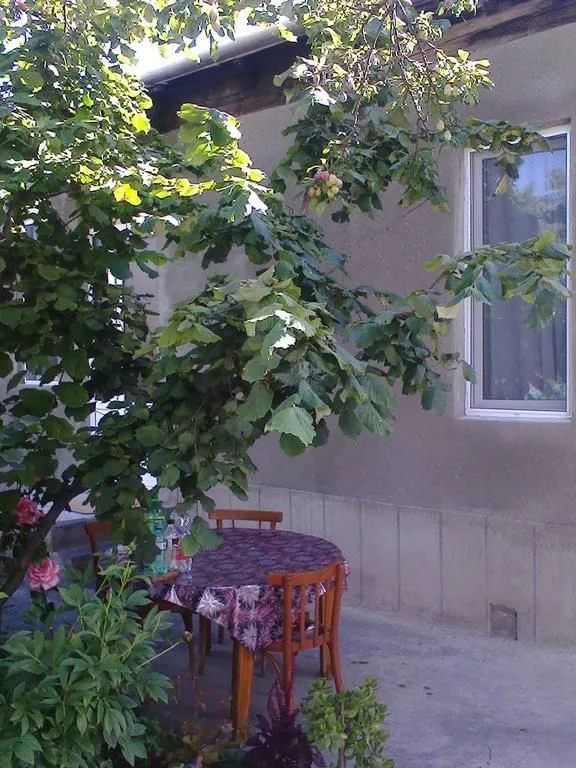 Guest House Akhaltsikhe — Photo 17