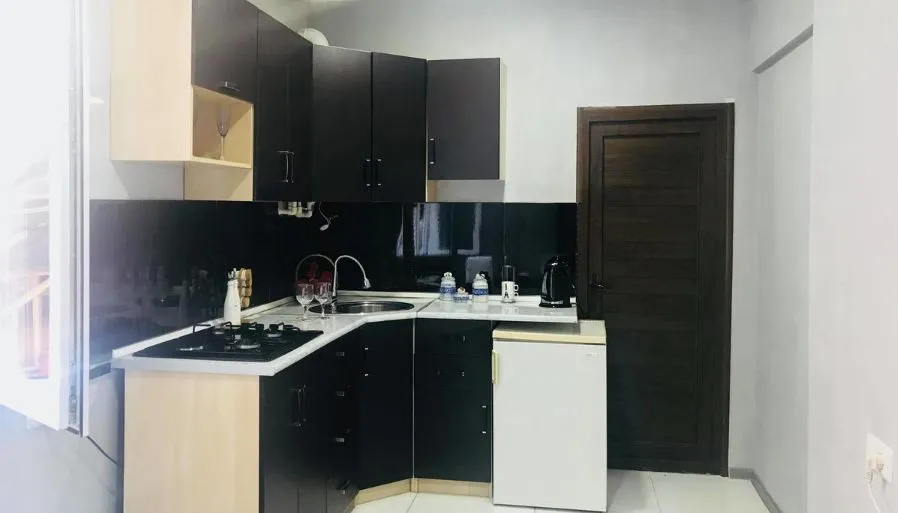 Apartment on Asatiani — Photo 17