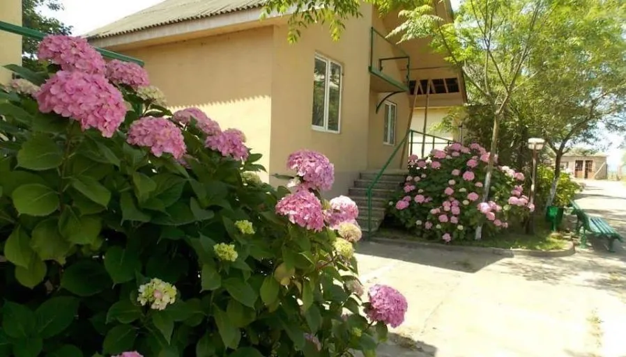 LASHTANI — Photo 24