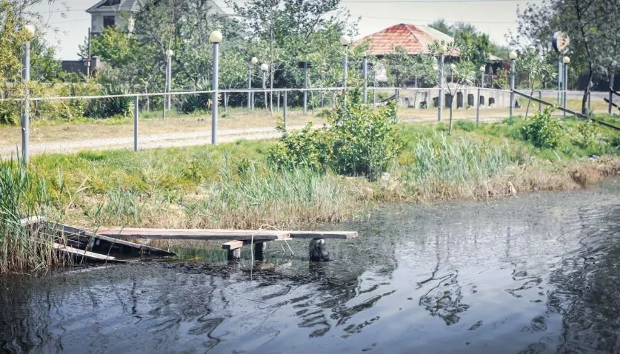 LASHTANI — Photo 3