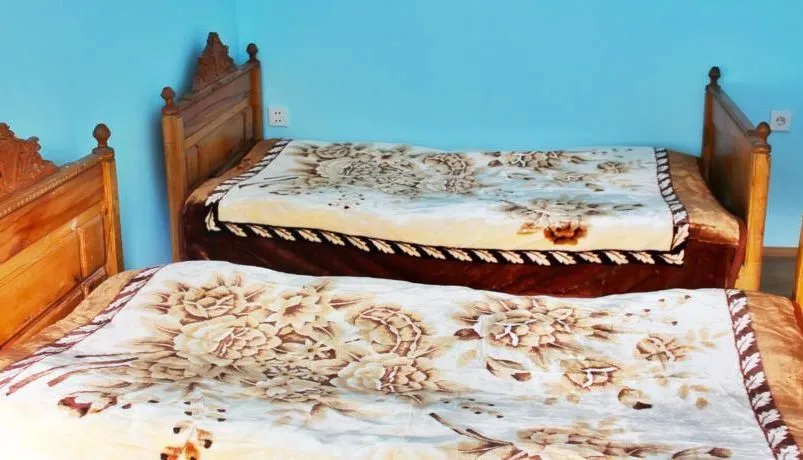 Guest House Goshtela — Photo 16
